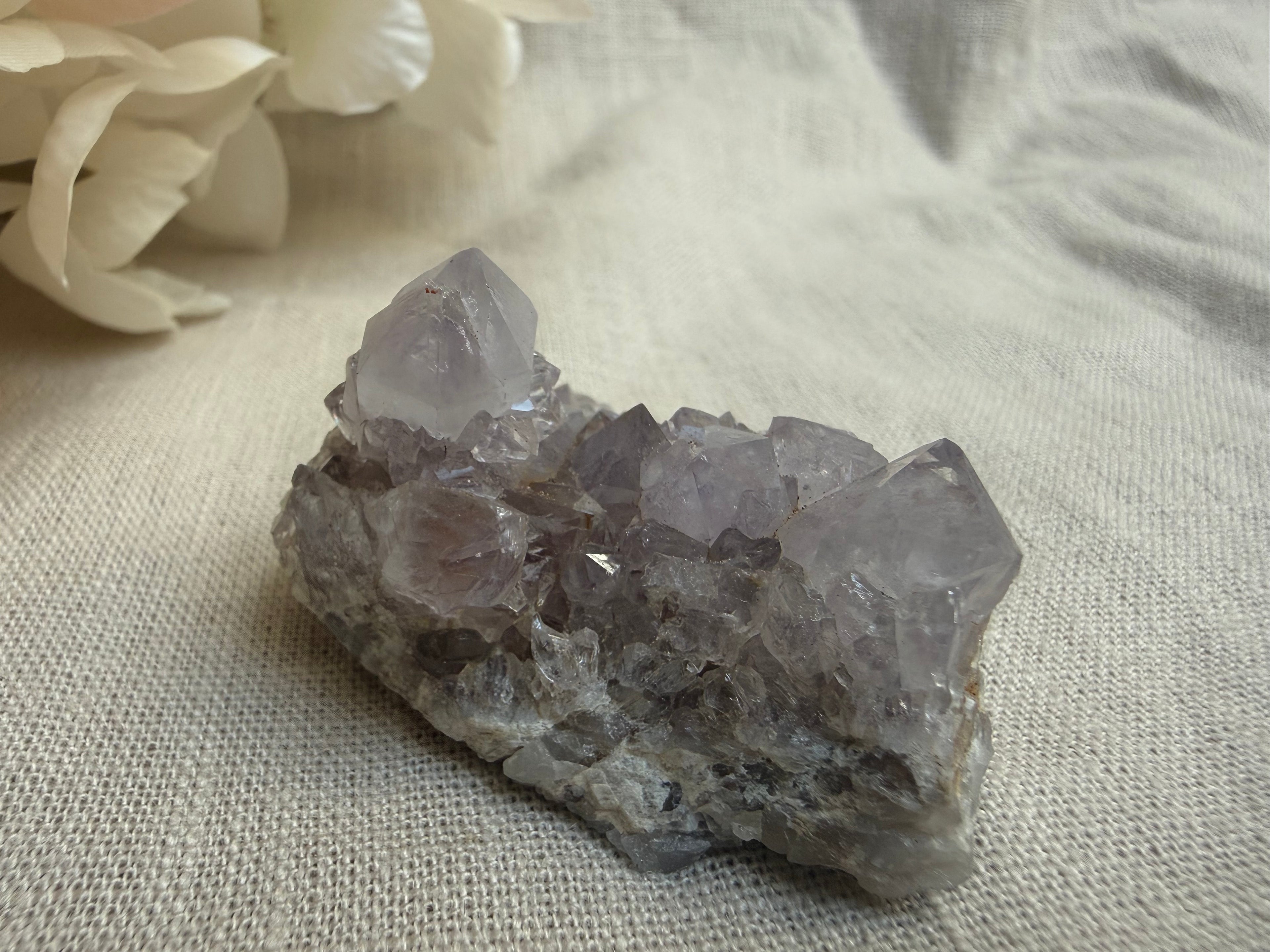 Kaktusquarz (Spirit Quarz) – Natürliche Kristallstufe | Einzigartiges Edelstein-Unikat