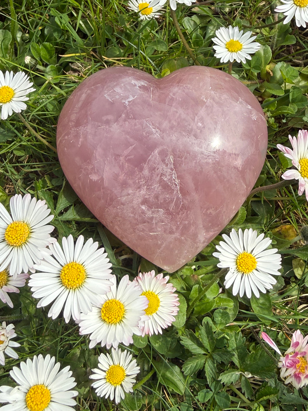 Rosenquarz Herz