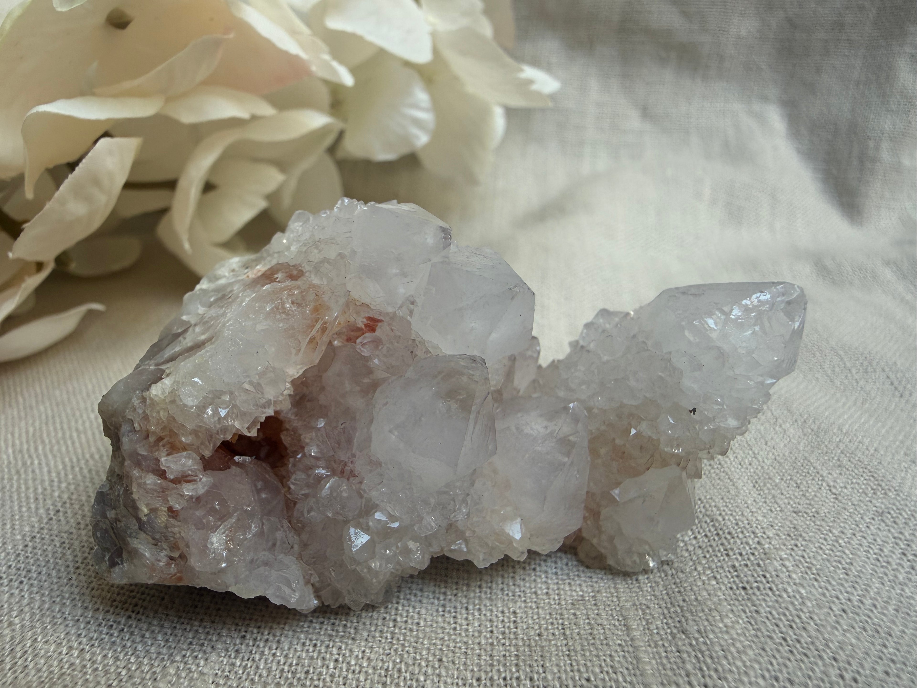 Kaktusquarz (Spirit Quarz) – Natürliche Kristallstufe | Einzigartiges Edelstein-Unikat
