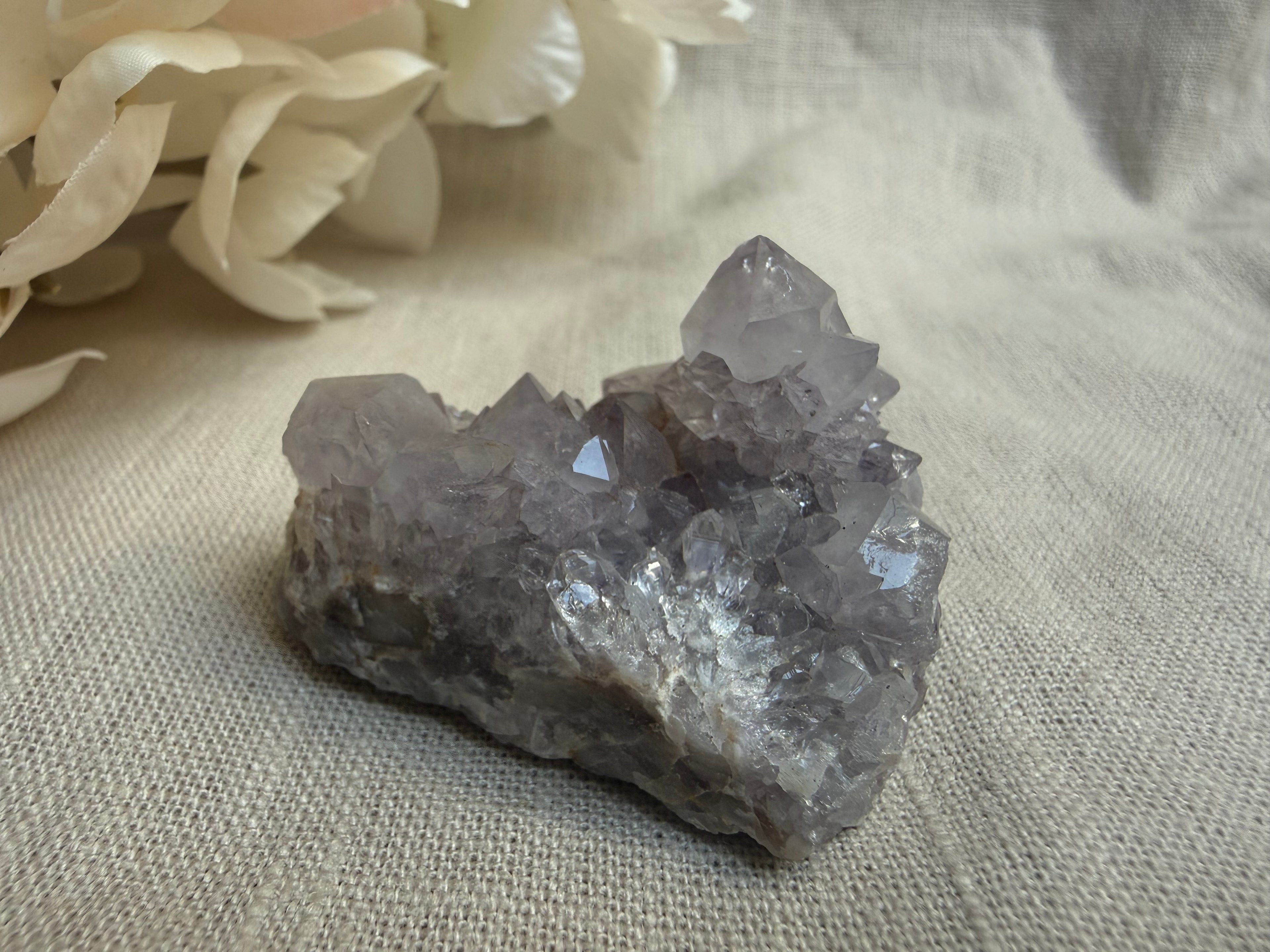 Kaktusquarz (Spirit Quarz) – Natürliche Kristallstufe | Einzigartiges Edelstein-Unikat