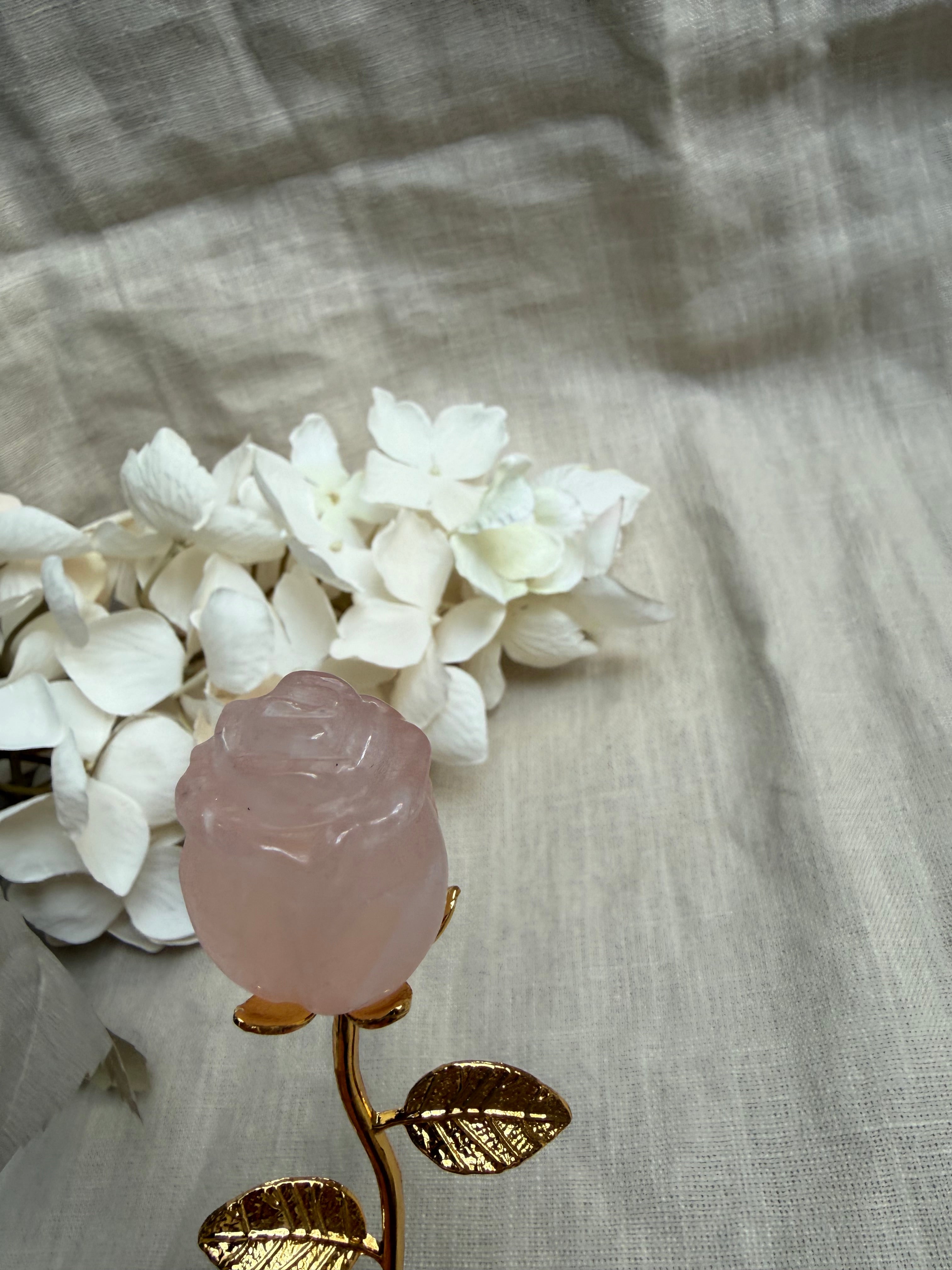 ✨ Rosenquarz Rose – Liebe & Herzenergie