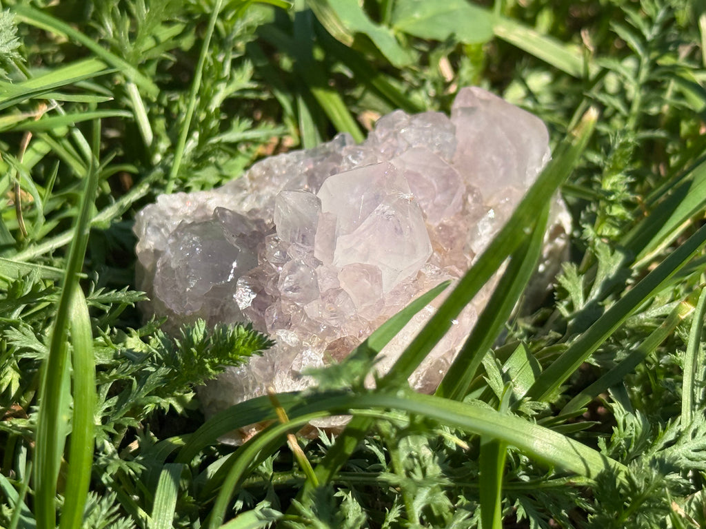Kaktusquarz (Spirit Quarz) – Natürliche Kristallstufe | Einzigartiges Edelstein-Unikat