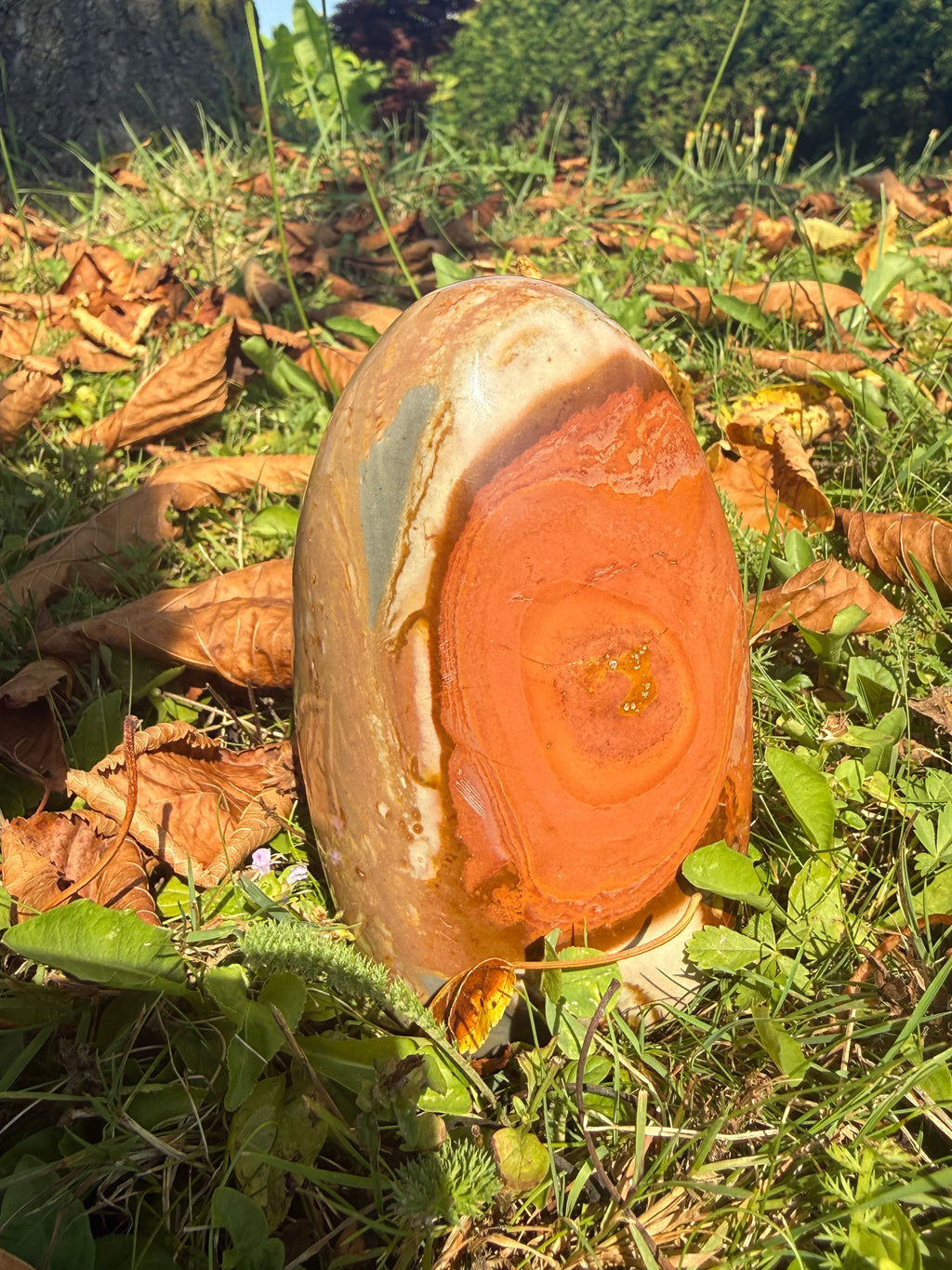 Polychromer Jaspis Freiform – Handgeschliffener Naturstein aus Madagaskar | Dekoratives Unikat
