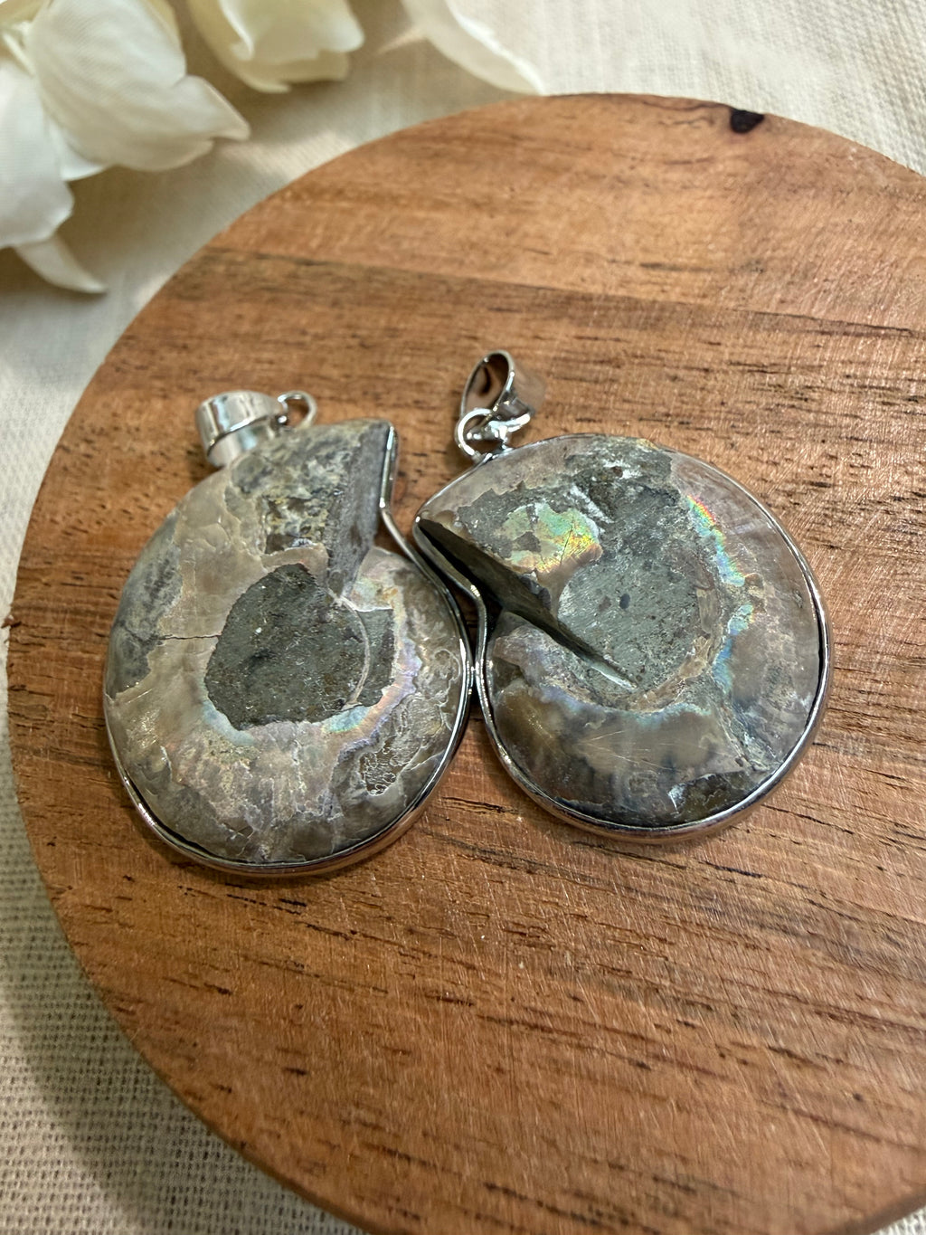 Ammoniten Paaranhänger